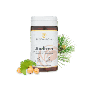 Audizen