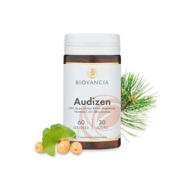 Audizen